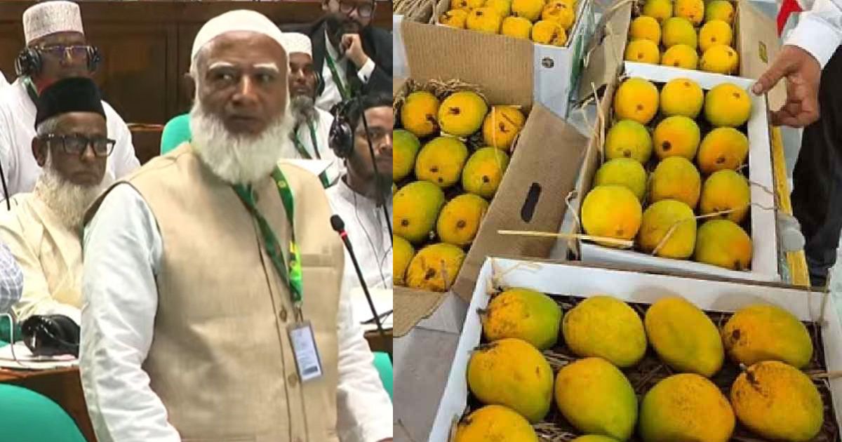 Jamaat-Amir-gave-10-kg-of-mangoes-to-all-members-of-Parliament