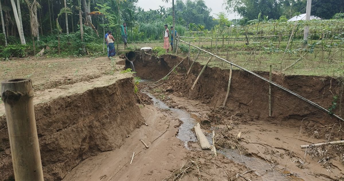 Gomra-villagers-are-afraid-of-losing-agricultural-land-due-to-Sherpur-river-erosion