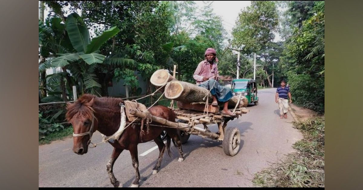 যান্ত্রিক যানবাহনের দাপটে বিলুপ্তির পথে ডুমুরিয়ার ঐতিহ্যবাহী ঘোড়ার গাড়ি