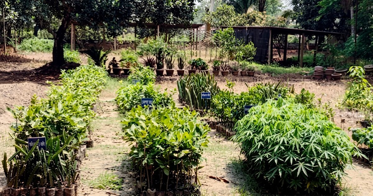 Development-of-11-new-varieties-of-fruits-in-44-years-of-pursuit-of-Agricultural-Research-Center