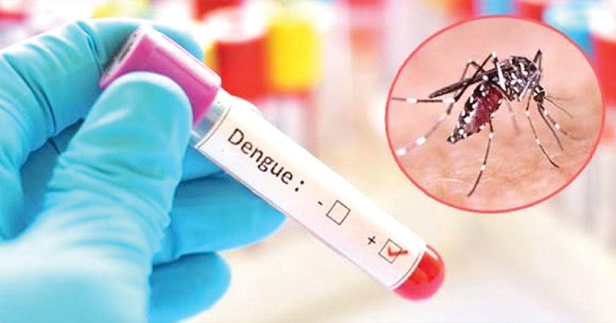 Alarming-density-of-Aedes-larvae-in-the-capital-is-raising-fears