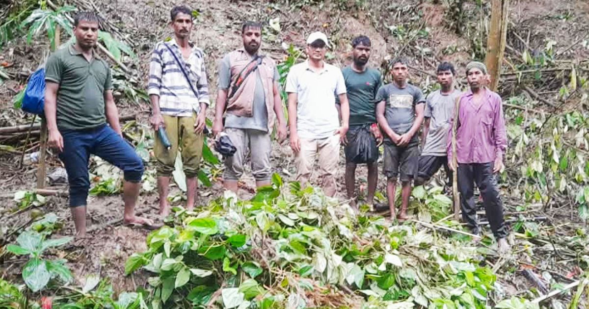 3-29-hectares-of-forest-land-in-Kamalganj-is-cleared-of-encroachment-of-illegal-betel-plantations-in-the-operation-of-the-forest-department