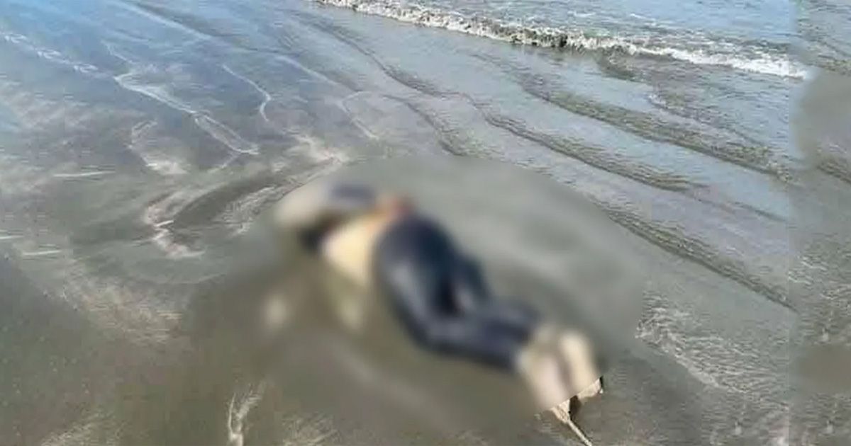 3-semi-decomposed-bodies-were-recovered-from-St-Martin-and-Shahpari-islands