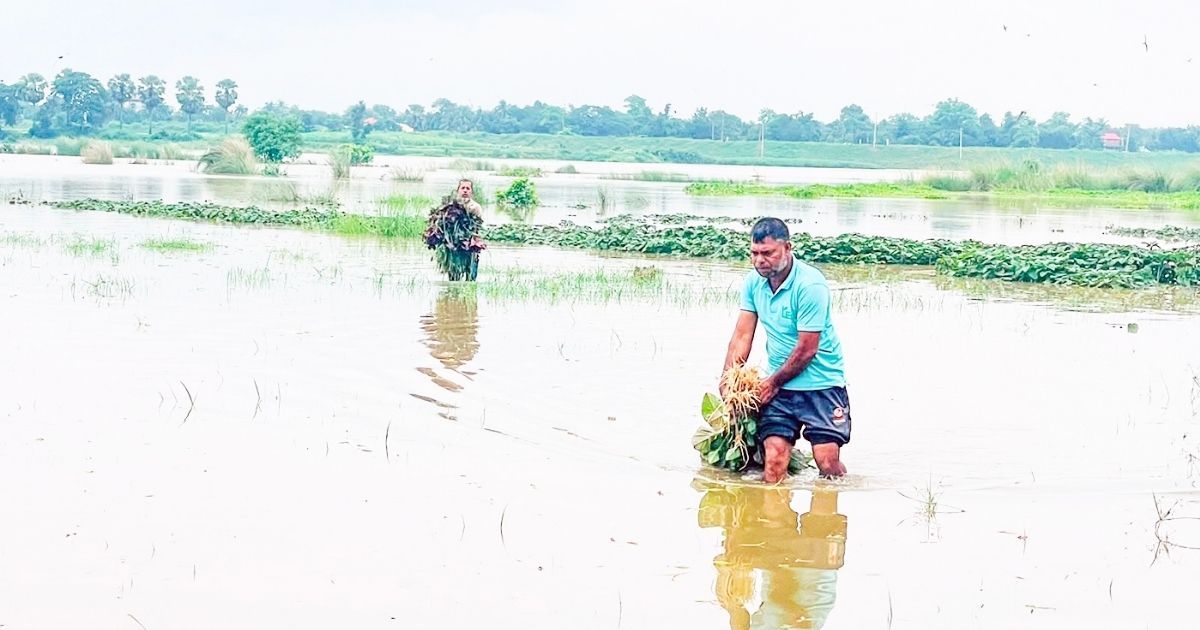 Farmers-are-facing-loss-due-to-rising-water-level-of-Gomti-river-in-Comilla-due-to-hill-slope