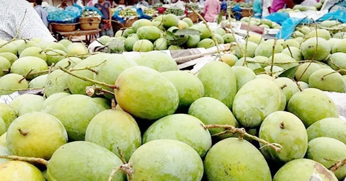 Mangoes-are-being-sold-at-high-prices-even-during-the-peak-season-in-the-capital