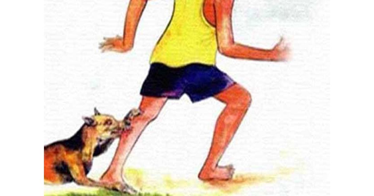 In-Gangni-12-injured-including-children-were-bitten-by-stray-dogs