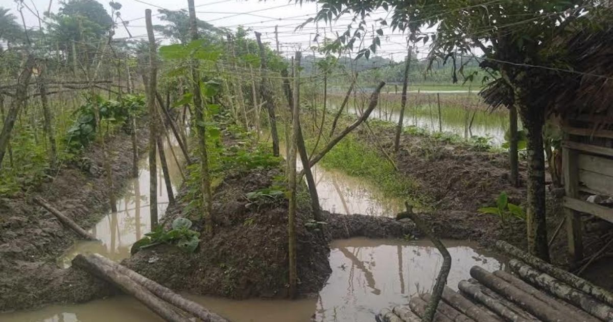 In-Khulna-due-to-continuous-rains-the-loss-in-fisheries-and-agriculture-sector-is-Tk-130-crore-50-lakhs