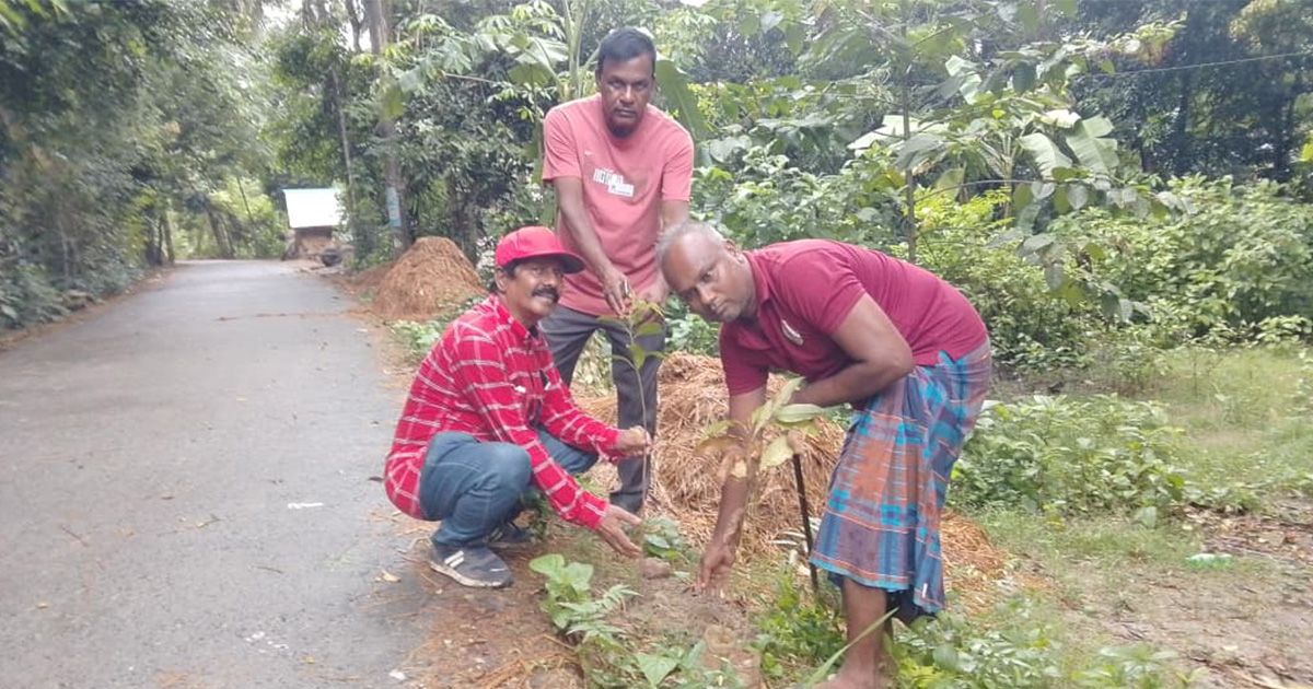 Green-warrior-Satyajit-Roy-planting-thunderproof-palm-trees-with-his-own-money