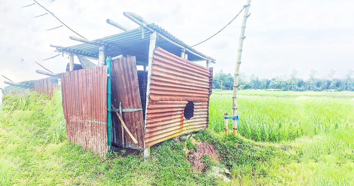 Farmers-in-fear-of-theft-of-irrigation-pump-motors-increasing-at-an-alarming-rate-in-Sarishabari