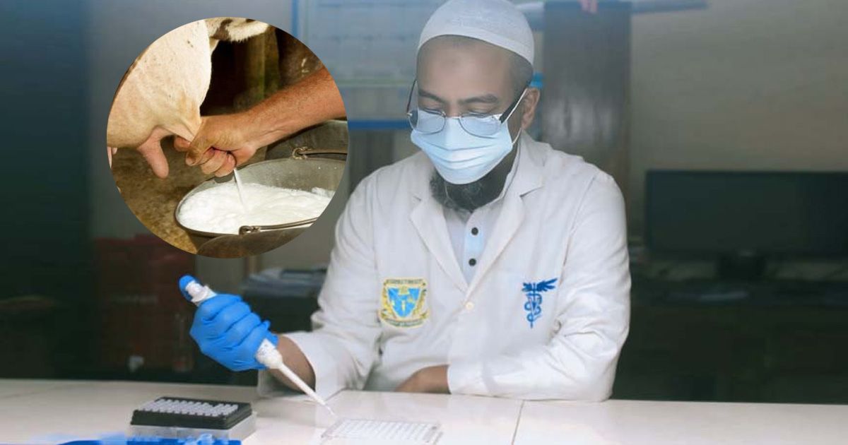 Milk-production-of-brucellosis-affected-cows-decreases-to-an-average-of-101-liters-per-day-Bakrbis-study