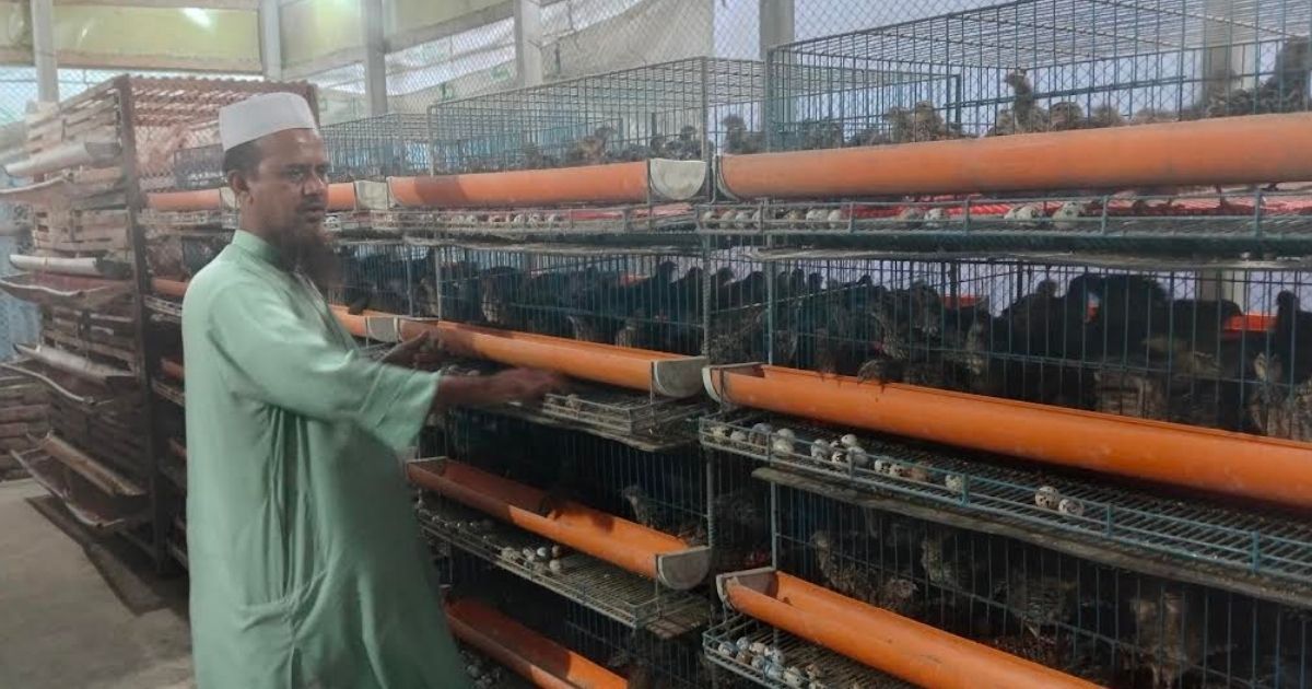 Abdul-Ahad-traveled-with-500-quails-and-is-now-a-successful-farmer