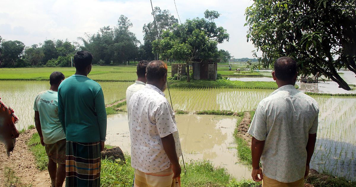 Irrigation-crisis-in-Niamatpur-farmers-worry-about-boro-plantation