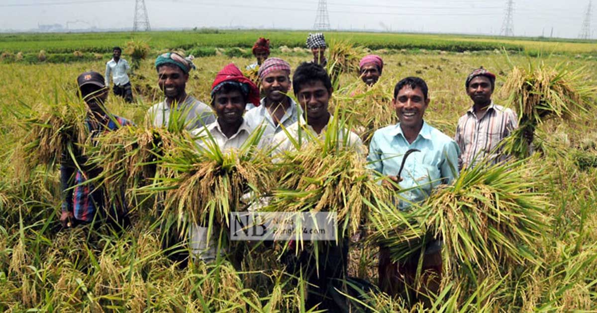 বাংলাদেশকে নিয়ে ভয় পাচ্ছেন না অর্থনীতিবিদরা