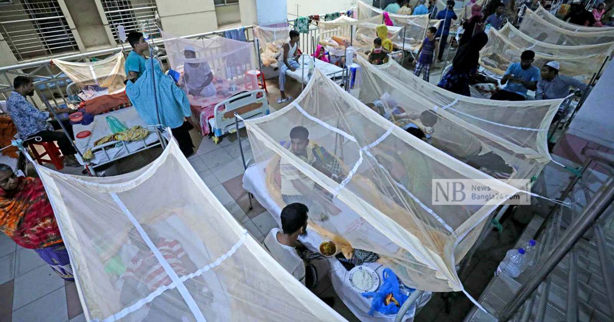 19-deaths-in-one-day-in-dengue-more-than-3-thousand-in-hospitals
