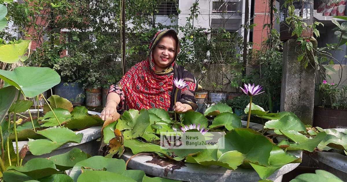 ছাদবাগান করে মনিরা পাচ্ছেন প্রধানমন্ত্রীর পুরস্কার