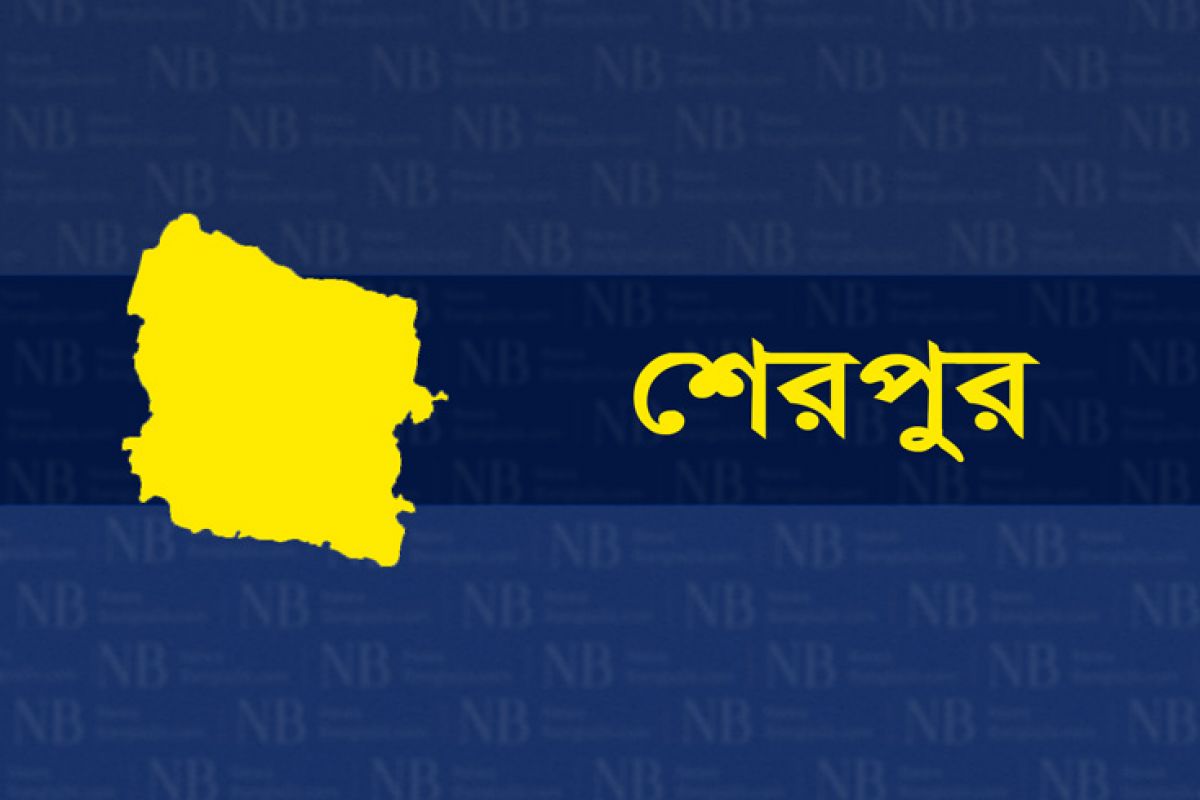 শেরপুর জেলার খবর,