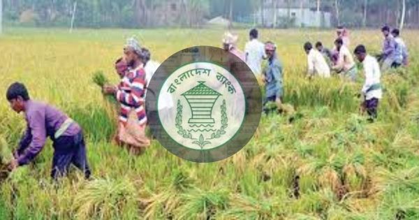 কৃষি খাতে কেন্দ্রীয় ব্যাংকের ১০ হাজার কোটি টাকার তহবিল গঠন 