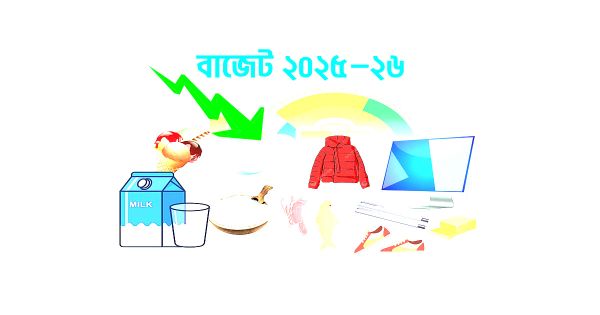 প্রস্তাবিত বাজেটে দাম কমতে পারে যেসব নিত্যপণ্য ও সেবার  