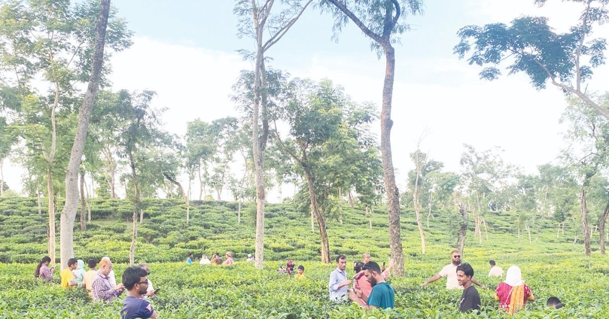 অপার সম্ভাবনাময় মৌলভীবাজার
পর্যটন শিল্প এখনো অবহেলিত