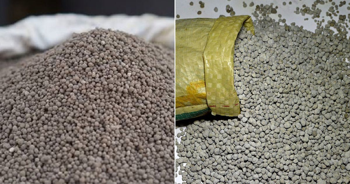 ১ লাখ ৮০ হাজার মেট্রিক টন সার আমদানি করবে সরকার