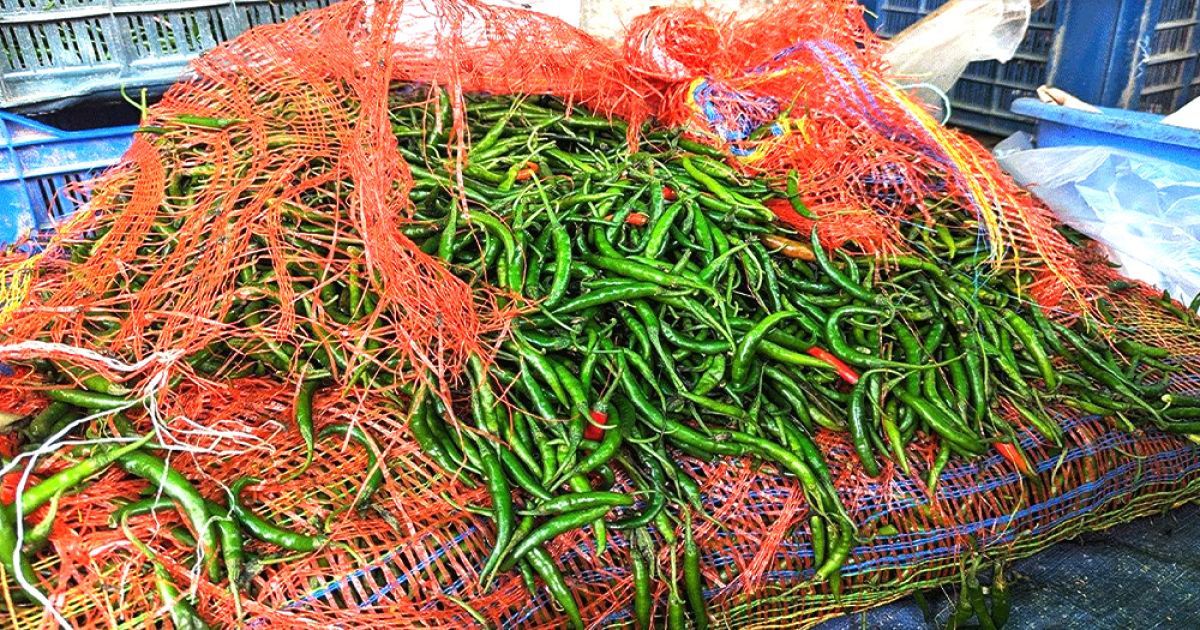 কাঁচামরিচের দাম আবার ৩০০ টাকা ছাড়াল