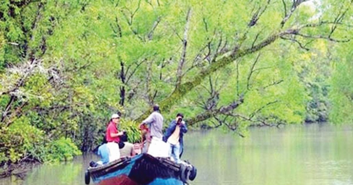 সুন্দরবনে বিদেশি পর্যটক বাড়াতে মাস্টারপ্ল্যান
